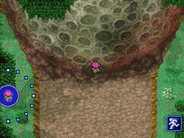 ウォルスの隕石