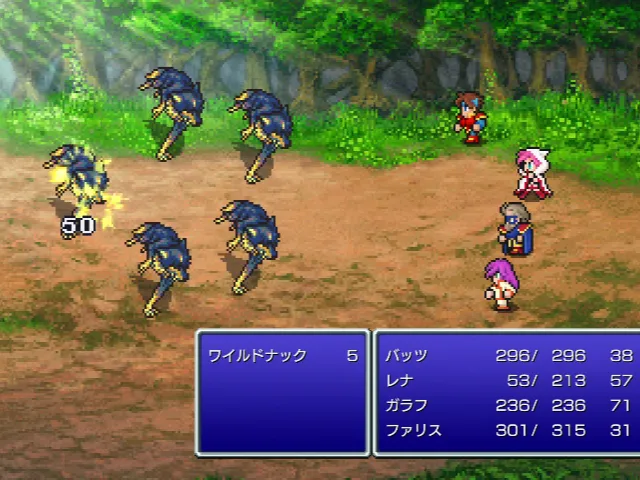 ワイルドナック戦